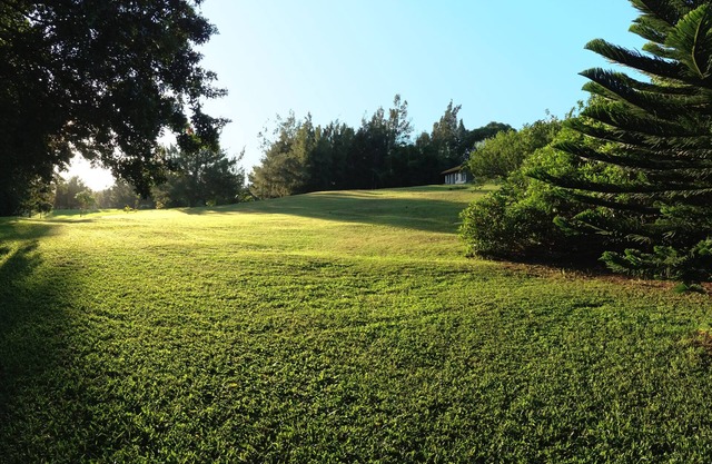 Peaceful & Private Studio - 12 Acre Hobby Organic Fruit Farm | Playa 10min