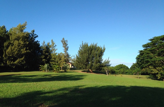 Estudio tranquilo y privado | 12 Acre Hobby Organic Fruit Farm || Playa 10min
