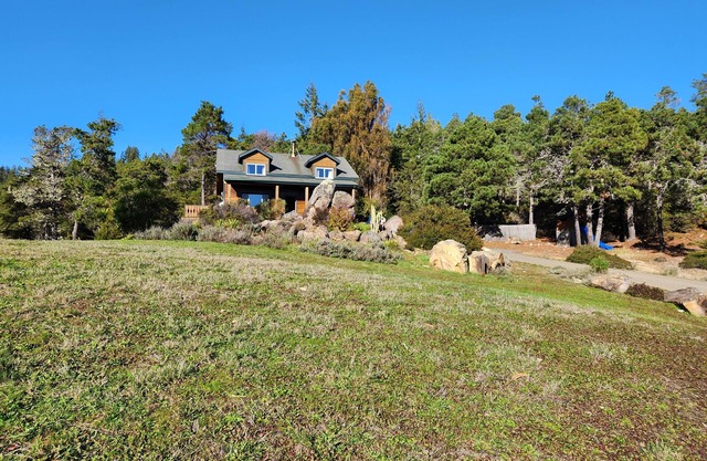Peaceful Redwood Hollow is large, clean and pet friendly and with room to roam!