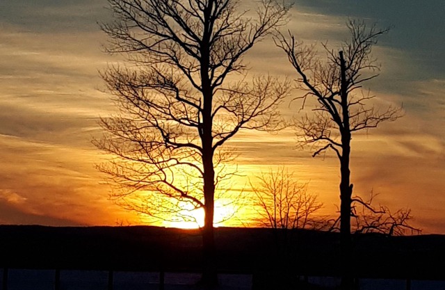 Retiro tranquilo en Family Farm cerca de Palgrave y Alliston