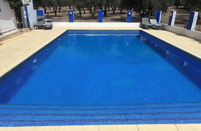 PAÍS PACÍFICO VILLA SAX ALICANTE. RODEADO DE OLIVOS Y ÁRBOLES FRUTALES.