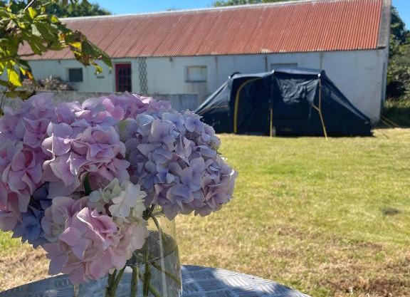 Peaceful Tent Camping near Ballybunion & Listowel