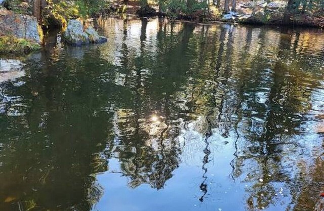 Northwoods Hidden Gem Pembine Wisconsin - (W5080 Shangrila Dr Pembine)