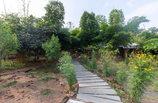 Pench Tiger Camp