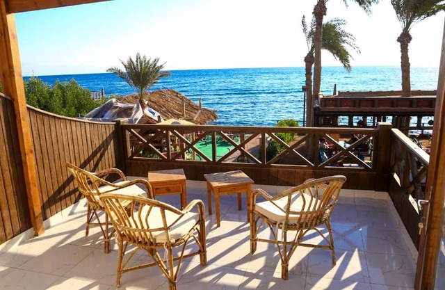 Penguin Village Dahab