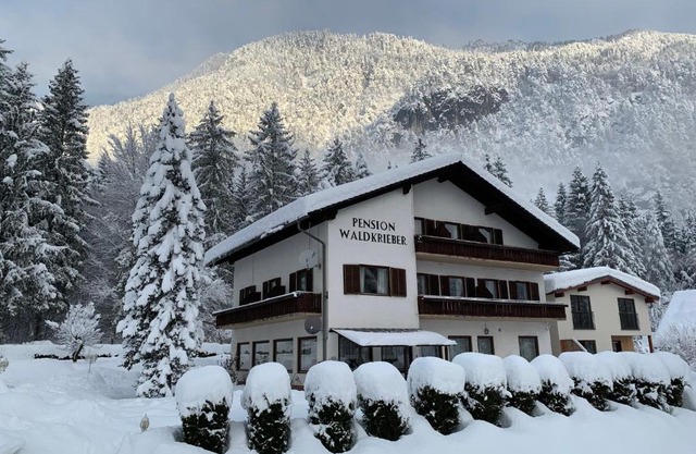 Pension & Apartments Waldkrieber