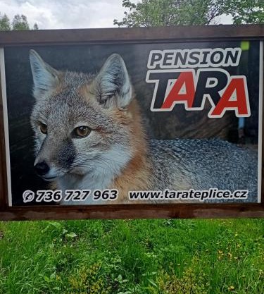 pension TARA
