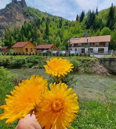 Pensiunea Cheile Șugăului