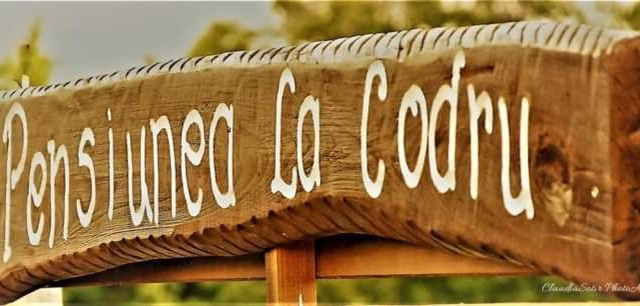 Pensiunea La Codru