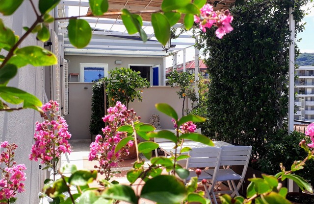 La terraza junto al mar - San Benedetto del Tronto