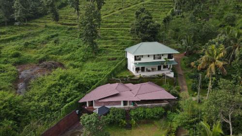 Pepper and Clove Enclave