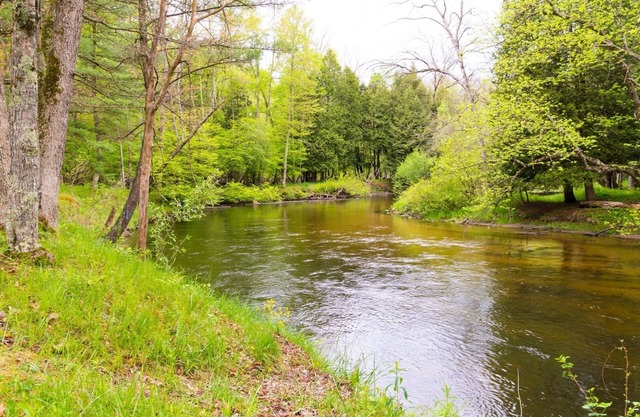 Pere Marquette River Fishing Cabin 1