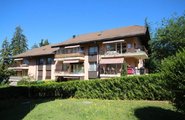 Perfect Apartment for The Montreux Jazz Festival!