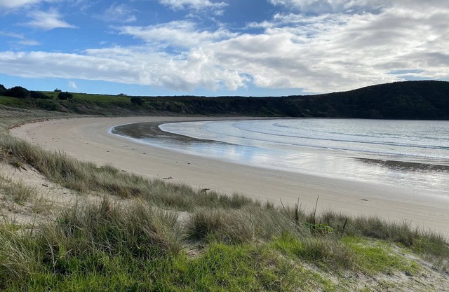 Perfect Beach Holiday in Doubtless Bay