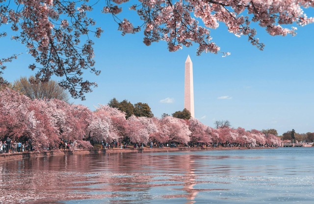 Perfect Capitol Hill Location - Close to Sights, Restaurants and Transportation