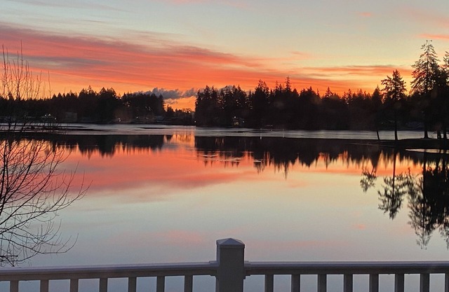 Perfect hideaway on a serene and peaceful lake