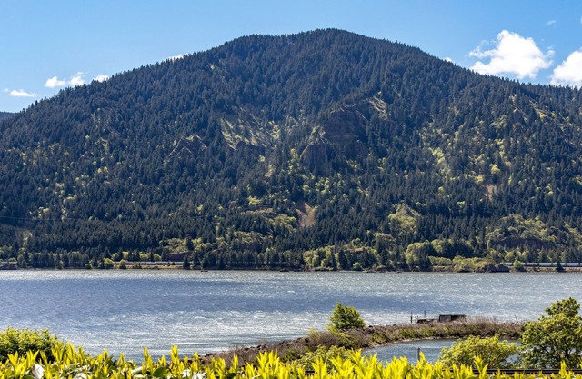 Perfect River Location and Views! Amazing Remodel!