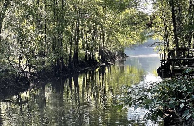 Perfect River Retreat-located directly on the Withlacoochee River