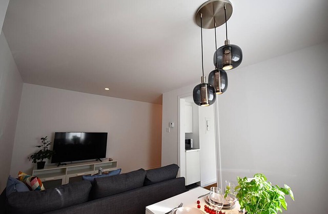 Perfectly located and charming 1 bedroom apt in Montreal (23)