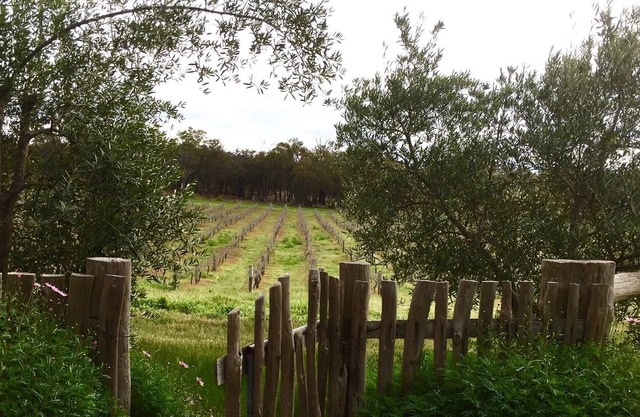 Perth Hills, Swan Valley lleno de diversión, familia, experiencia en estadías agrícolas