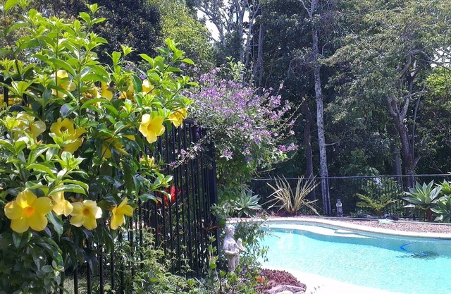 Pet Friendly Accommodation Kingslciff Queen size, selva tropical y terrenos para mascotas