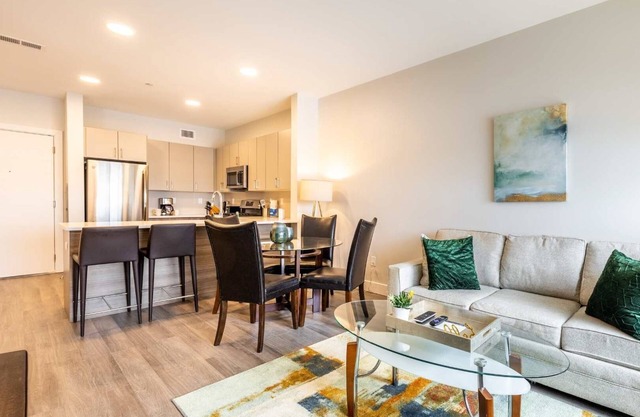 Pet Friendly Apartment Downtown
