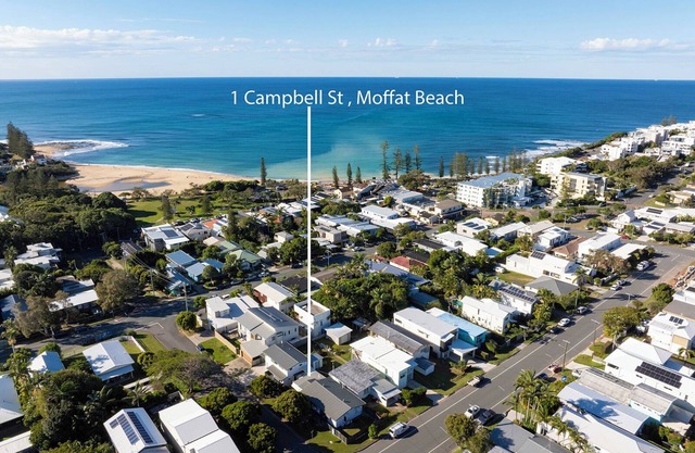 Pet Friendly at Moffat Beach