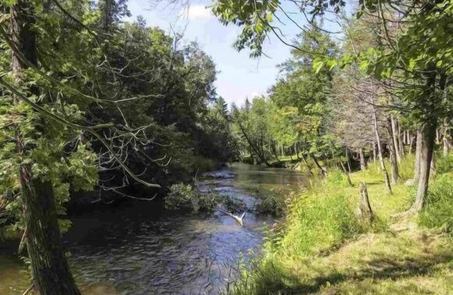 Retiro de Betsie River que admite mascotas - Capacidad para 10 personas - ¡Esquí, pescado y mucho más!