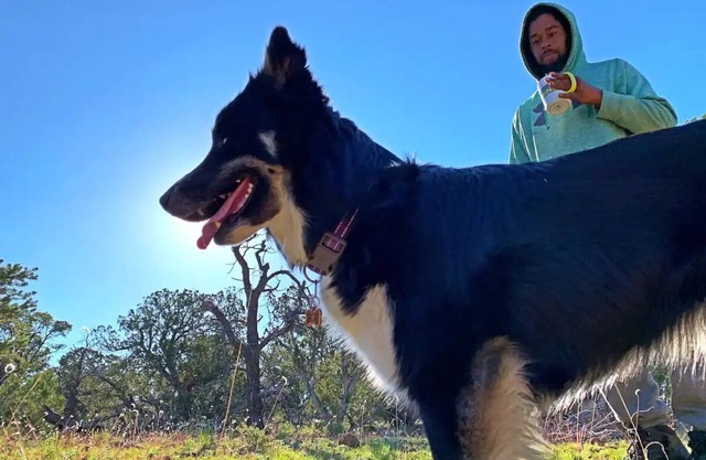 Pet-friendly camping in the mountains