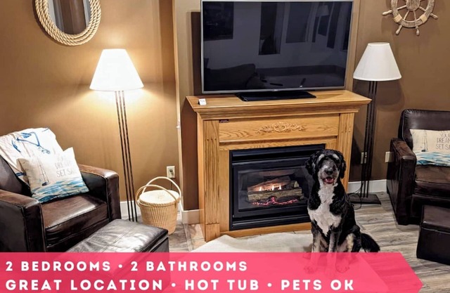 Pet-Friendly Canal Park Condo|Near Lakewalk| Pool| Sauna| Gym