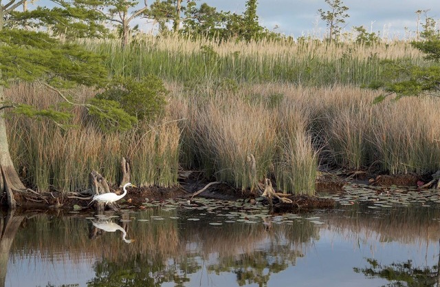 Pet-Friendly Cottage in Amenity-Filled Currituck Sound Campground (J04)