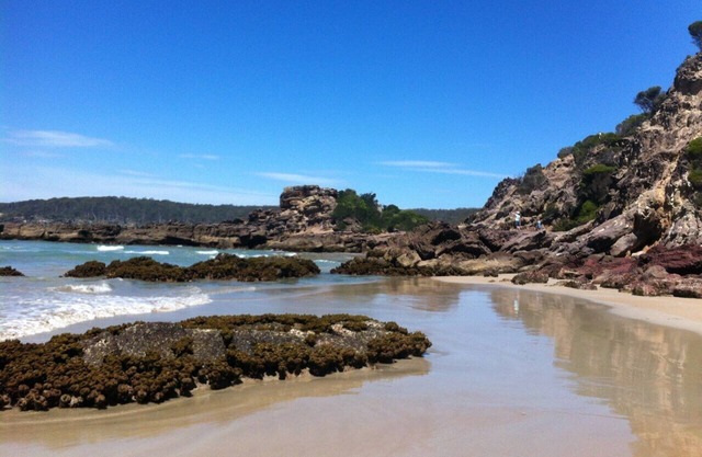 Admite mascotas, cinco acres tranquilos cerca de la playa de Pambula con vista al lago.