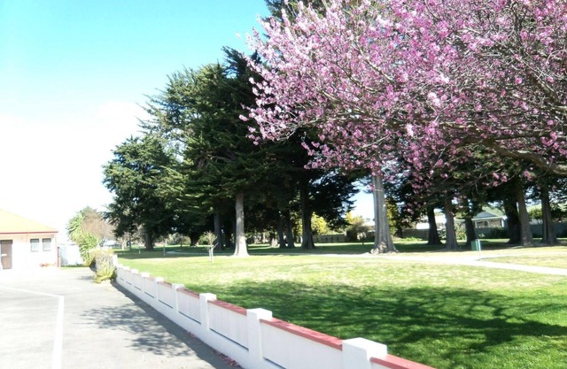 Pet-Friendly Napier Nest Motel w/Kitchenette