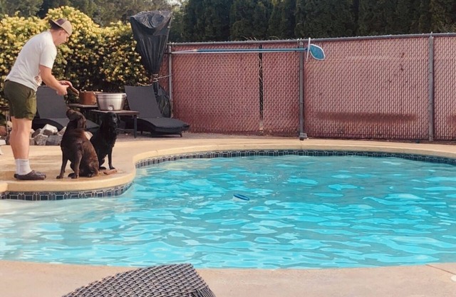 Pet Friendly Rancho Reata Retreat