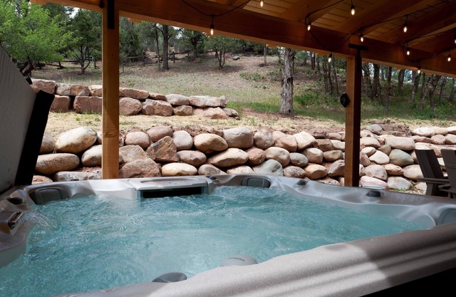 Pet Friendly Remodeled Home - 3 Miles to DGO - Hot Tub, Yard, Ping Pong, AC