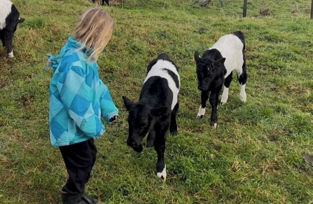 Pet Friendly Rural Paradise