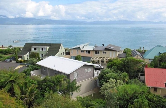 Lote clásico de kiwi junto al mar