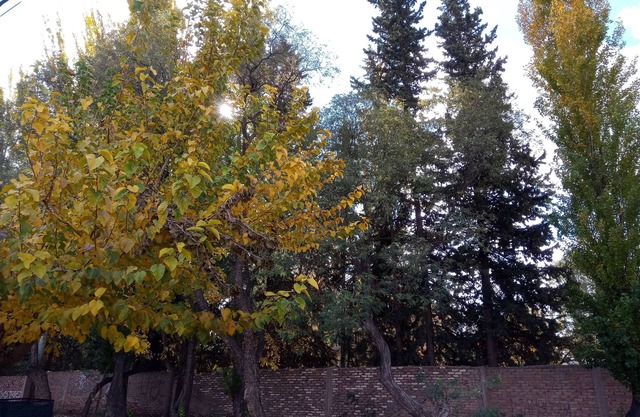 PETIT CHATEAU J&SR En la Ruta del Vino y la Aceituna, Maipu,Mza, Argentina.