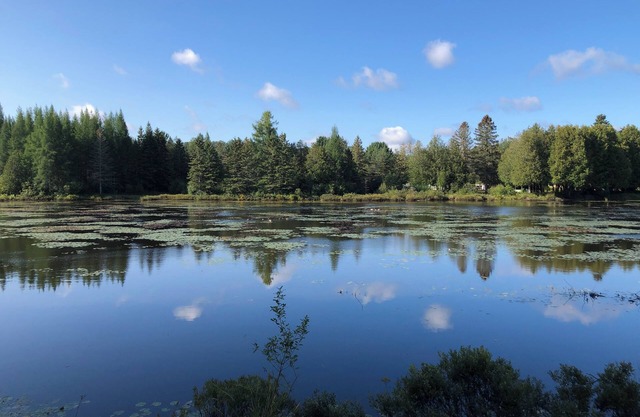 Petit Train du Nord - KM 39 - Cedar Creek GetAway