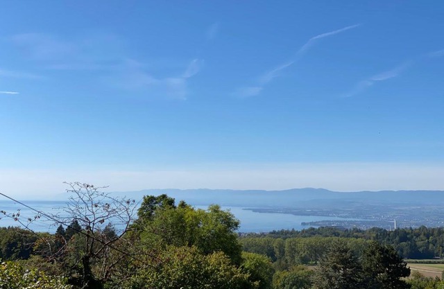 Petite maison à l'orée des bois vue magnifique sur le lac zenitude et plénitude