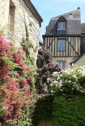 Petite Maison Romantique au calme, Cœur Historique, vue Ville et Jardin