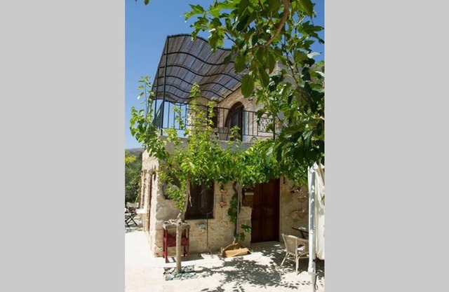 Petite Olive House