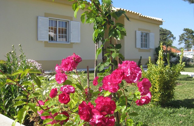 Pequeño Pinewood Villa Sesimbra