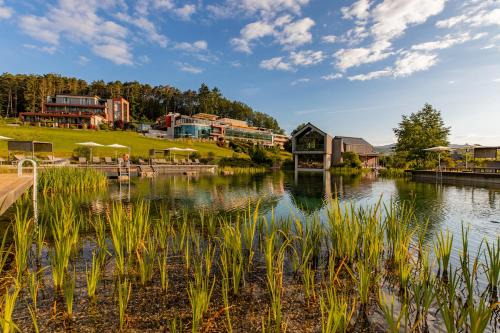 Pfalzblick Wald Spa Resort