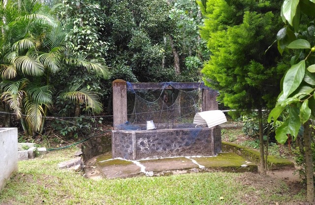 Philip Mary Farm Stay