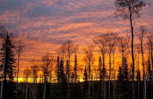 Phoenix Rising Off-Grid Amish crafted log cabin near the BWCA & SHT - Sled Dogs!