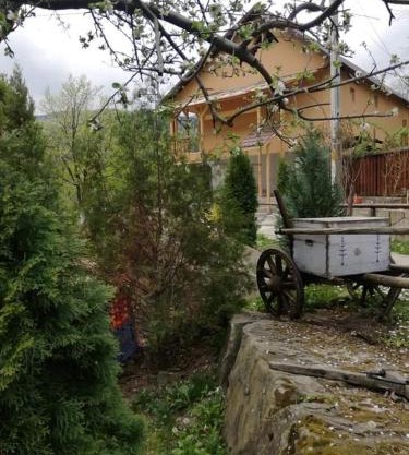 Piatra Mare Nehoiu 1