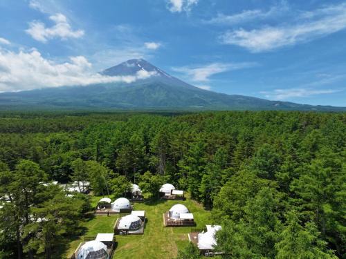 PICA Fujiyama