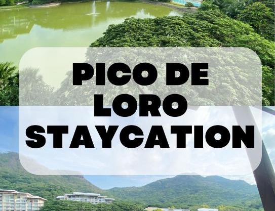 Pico De Loro Condo Room Rental