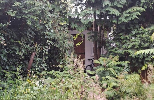 Picturesque City Cabin modern Professional Market, near busses, tube and shops